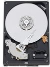 HDD|WESTERN DIGITAL|Blue|1TB|SATA 3.0|64 MB|5400 rpm|3,5"|WD10EARZ