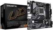 Gigabyte B650M D3HP 1.0 M/B