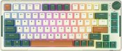 Mechanical keyboard Royal Kludge RKH81 RGB, Sky cyan switch (green)