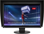 Eizo ColorEdge CG2400SV