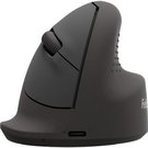 Fellowes Breyta Ergonomic Vertikale Maus M Rechtsh&auml;nder