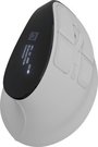 Natec Mouse | Euphonie Pro | Wireless | 2.4 GHz, Bluetooth | White