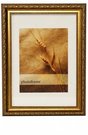 Frame 30x40 plastic 204-546 gold | 31mm