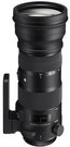 Sigma 150-600mm F5.0-6.3 DG OS HSM Nikon [CONTEMPORARY]