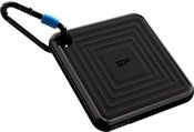 SILICON POWER External SSD PC60 1TB USB-C 540/500 MB/s Black