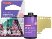 LomoChrome Purple 2021 35mm XR 100-400 EXP