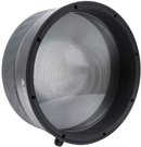 Amaran Fresnel (w/o Barndoor) (for Ray series)