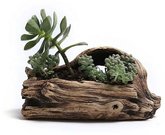Vazonas gėlėms betoninis Medžio kelmas 20x10 cm HR-T05