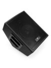 Vyrve Audio ATRIA, active 2-way stage monitor