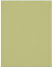 Westcott X Drop Kreukbestendige Achtergrond Mos Groen (1.5 x 2.1 m)