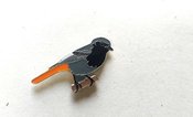 Ženkliukas BLACK REDSTART / Dūminė raudonuodegė