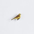 Ženkliukas Yellowhammer /Geltonoji starta
