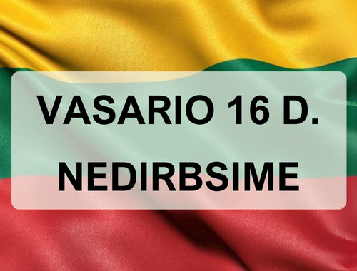 VASARIO 16 D. NEDIRBSIME