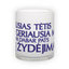 Matinio stiklo puodelis (300 ml)
