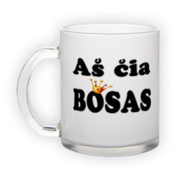Frosted glass mug (300 ml)