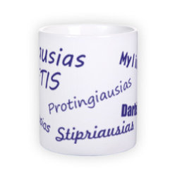 Standard white mug (300 ml)