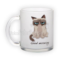 Frosted glass mug (300 ml)