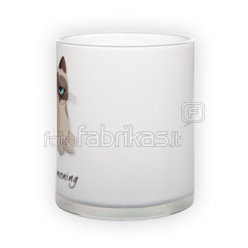 Frosted glass mug (300 ml)