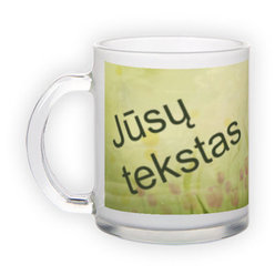 Frosted glass mug (300 ml)