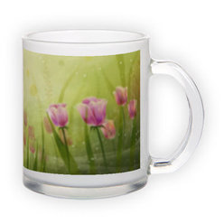 Frosted glass mug (300 ml)
