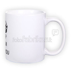 Standard white mug (300 ml)