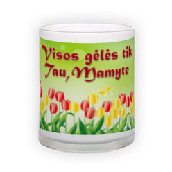 Frosted glass mug (300 ml)