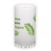 Frosted glass beer mug (500 ml)