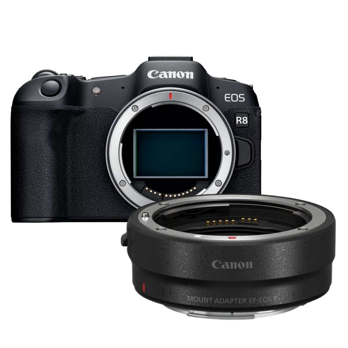 Canon EOS R8 body + adapter EF-EOS-R - Sisteminiai fotoaparatai