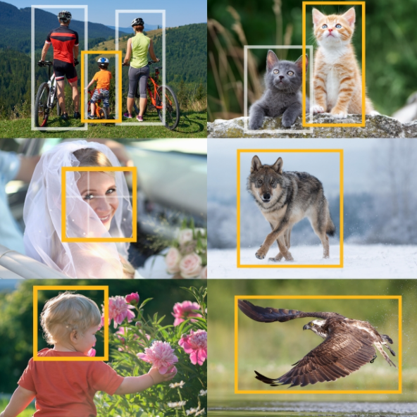 Panasonic DC-GH5 mark II kėbulas aprašymas - Prekės nuotrauka