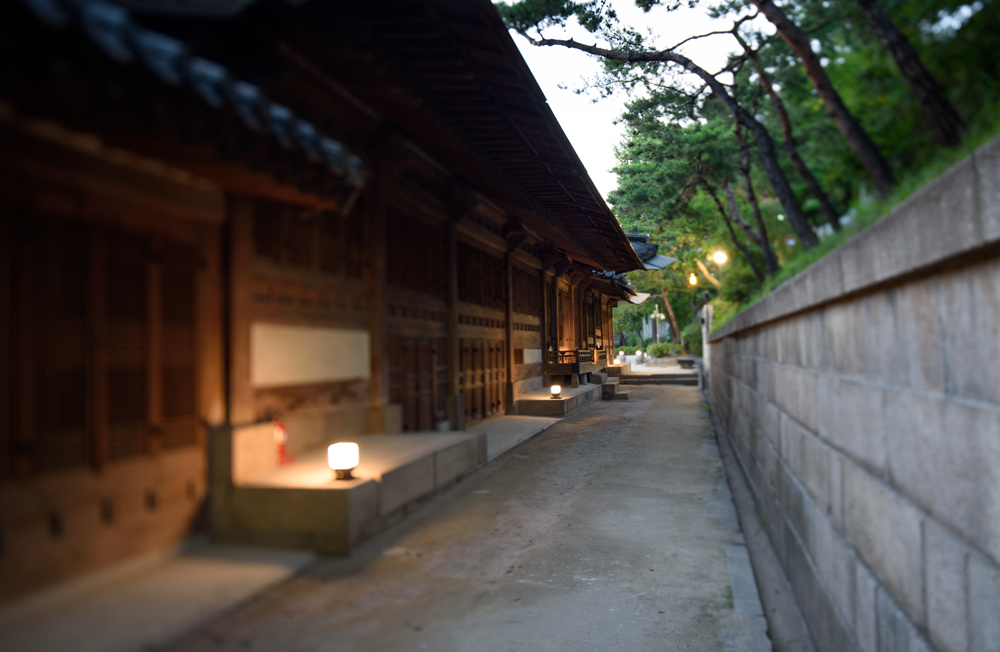SAMYANG T-S 24mm F3.5 ED AS UMC
